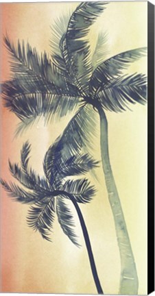 Framed Vintage Palms I Print