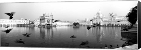 Framed Reflection of Golden Temple, Amritsar, Punjab, India (black &amp; white) Print