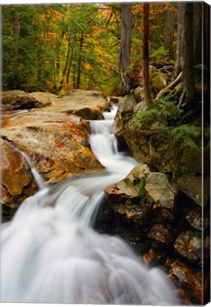 Framed Pemigewasset River in Franconia Notch State Park, New Hampshire Print