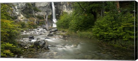 Framed Forest Waterfall, Patagonia, Argentina Print