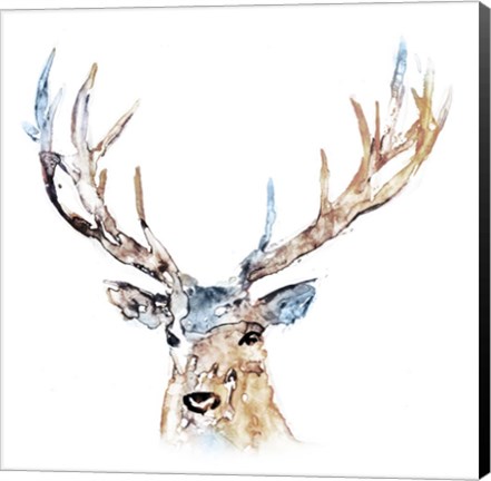 Framed Watercolour Reindeer Print
