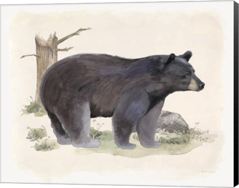 Framed Wilderness Collection Bear Print
