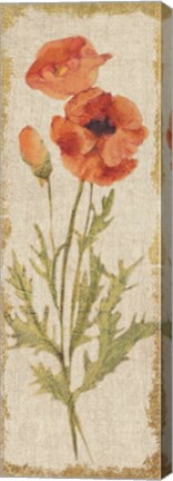 Framed Poppy Panel on White Vintage Print