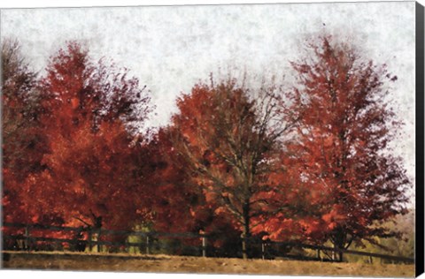 Framed Fall Reds Print