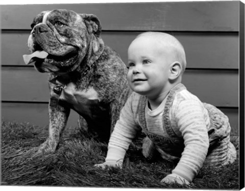 Framed 1950s 1960s Baby Seated Next To Bulldog In Grass Print