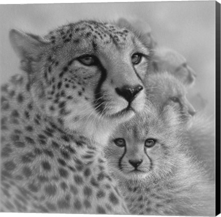 Framed Cheetah Mother and Cubs - Mother&#39;s Love - Square - B&amp;W Print