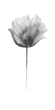 Framed Flower in Gray Panel I Print