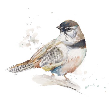 Framed Watercolor Mountain Bird III Print