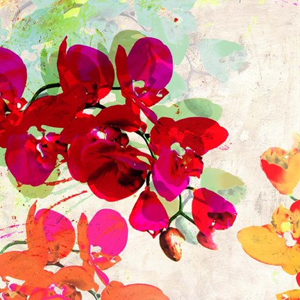 Framed Orchidreams (detail) Print