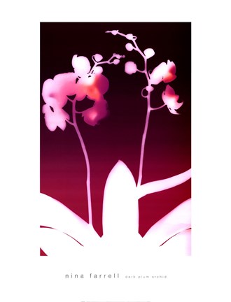 Framed Dark Plum Orchid Print