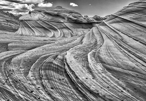 Framed Second Wave Zion National Park Kanab, Utah (BW) Print