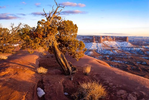 Framed Overlook Vista At Canyonlands National Park, Utah Print