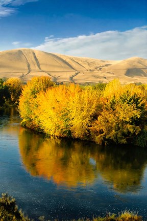 Framed Autumn Color Along The Yakima River Print