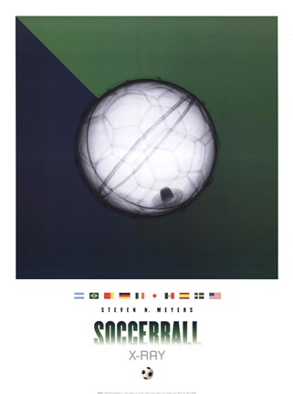 Framed Soccerball X-Ray Print