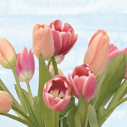 Framed Fresh Spring Tulips IV Print