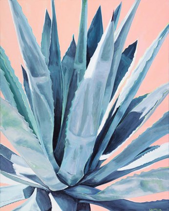 Framed Agave with Coral Print