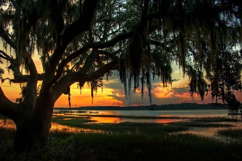 Framed Savannah Evening Print