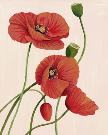 Framed Soft Coral Poppies I Print