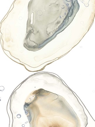 Framed Ocean Oysters II Print
