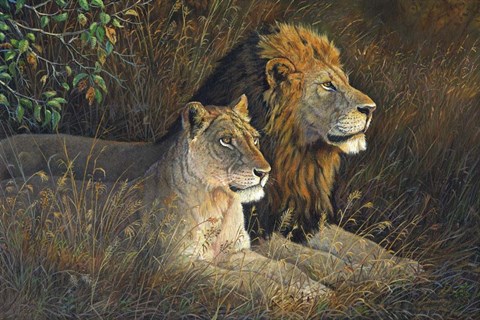 Framed Lions Domain Print