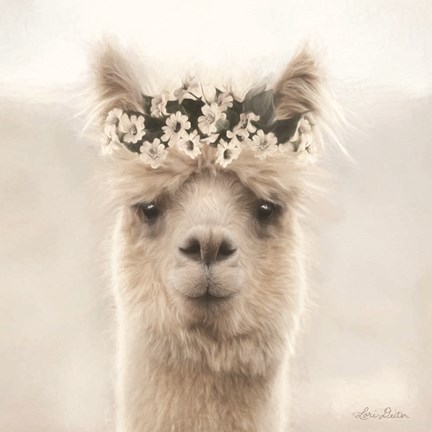 Framed Alpaca with Flowers Print