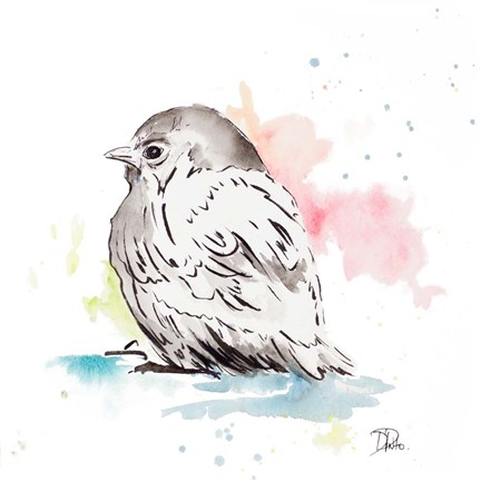 Framed Bird Sketch I Print