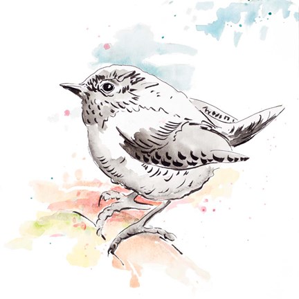 Framed Bird Sketch II Print