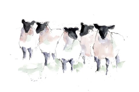 Framed Minimalist Watercolor Sheep I Print