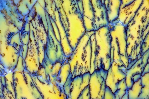 Framed Oregon Close-Up Detail Of Cut Rock Print