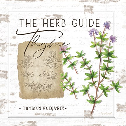 Framed Herb Guide - Thyme Print