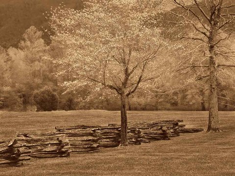 Framed Smokies Fence Print