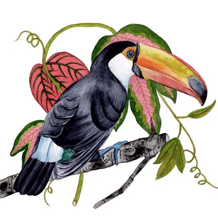 Framed Toco Toucan II Print