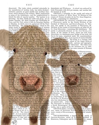 Framed Cow Duo, Cream, Looking at You Book Print Print