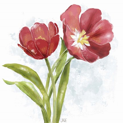 Framed Red Tulip Splash I Print