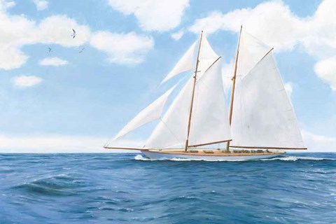 Framed Majestic Sailboat White Sails Print