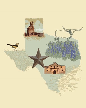 Framed Illustrated State-Texas Print