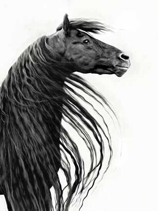 Framed Black and White Horse Portrait II Print