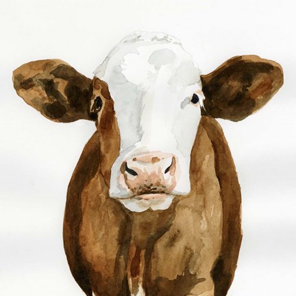 Framed Cow Gaze II Print