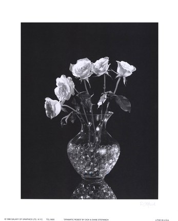 Framed Dramatic Roses Print