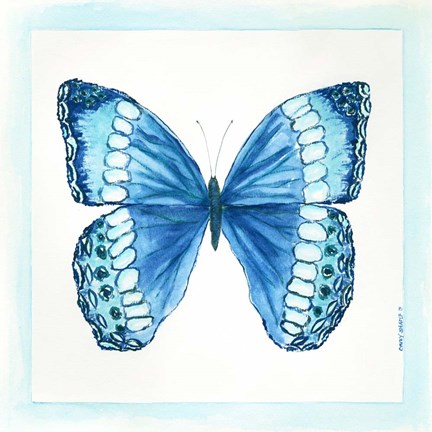 Framed Butterfly II Print