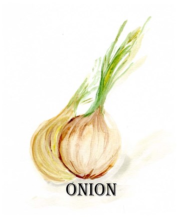 Framed Veggie Sketch X-Onion Print