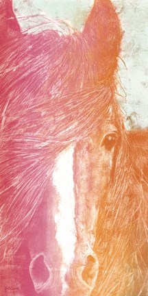 Framed Colorful Horse panel Print
