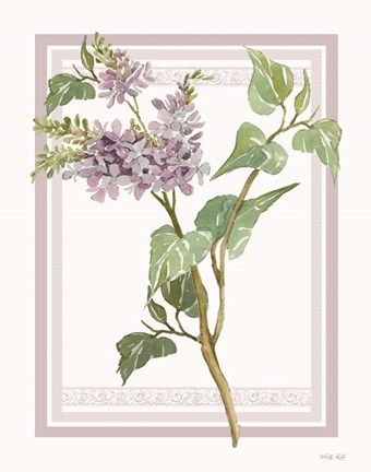 Framed Lilacs V Print