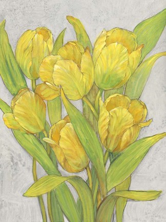 Framed Yellow Tulips I Print