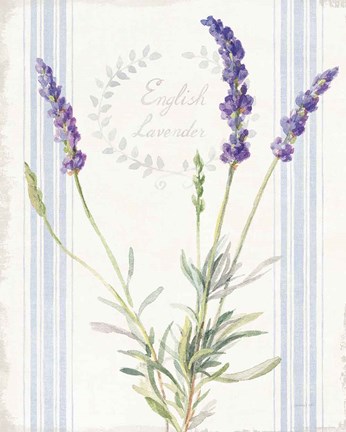 Framed Floursack Lavender IV Print