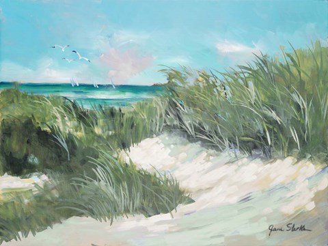 Framed Beach Coast Grass Print