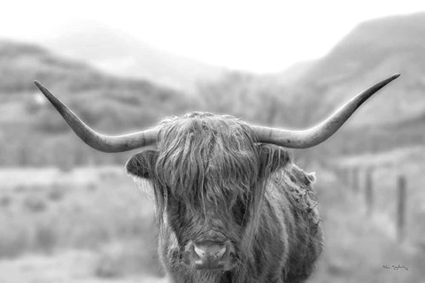 Framed Scottish Highland Cattle III Neutral Crop Print