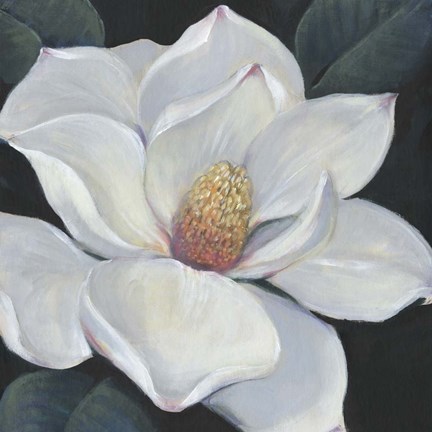 Framed Blooming Magnolia II Print