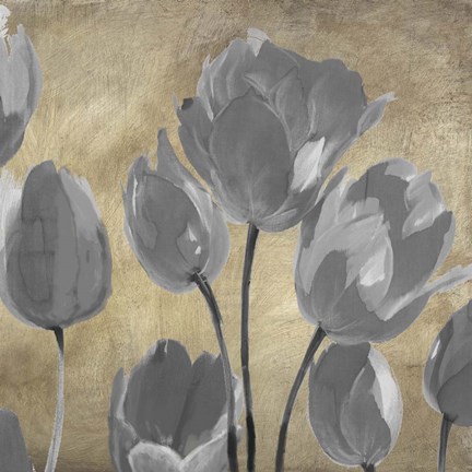 Framed Grey Tulips II Print