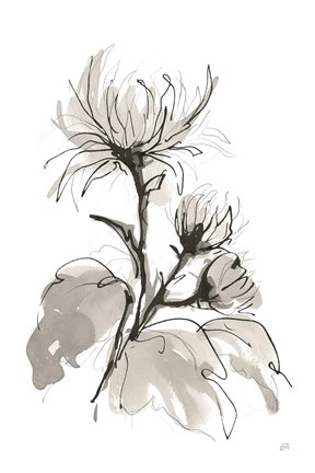 Framed Chrysanthemum I Print